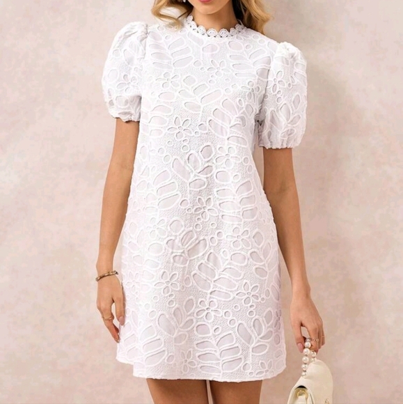 White Embroidered Fabric Stand Collar Short Sleeve A-Line Short Dress - Picture 4 of 4